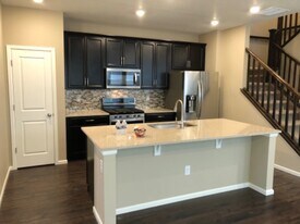 3583 Happyheart Way in Castle Rock, CO - Building Photo