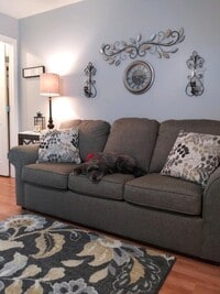 307 Midland Blvd photo'