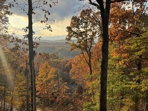 664 Fox Run Dr in Blue Ridge, GA - Foto de edificio - Building Photo
