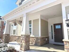 3907 Nannyberry St in Naperville, IL - Building Photo - Building Photo