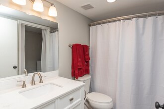 510 E Gillespie St, Unit C15 in Starkville, MS - Building Photo - Building Photo