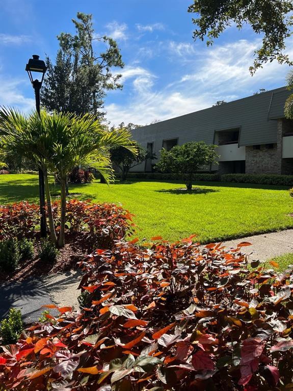 property at 36750 US Hwy 19 N