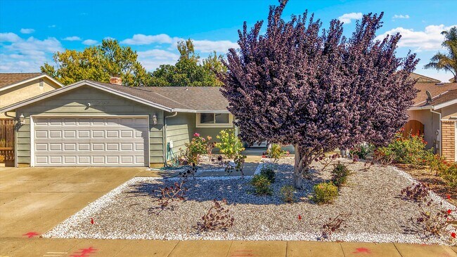 36444 Peugeot Pl in Newark, CA - Building Photo - Building Photo