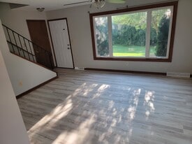 224 E Woodlawn Rd in New Lenox, IL - Building Photo