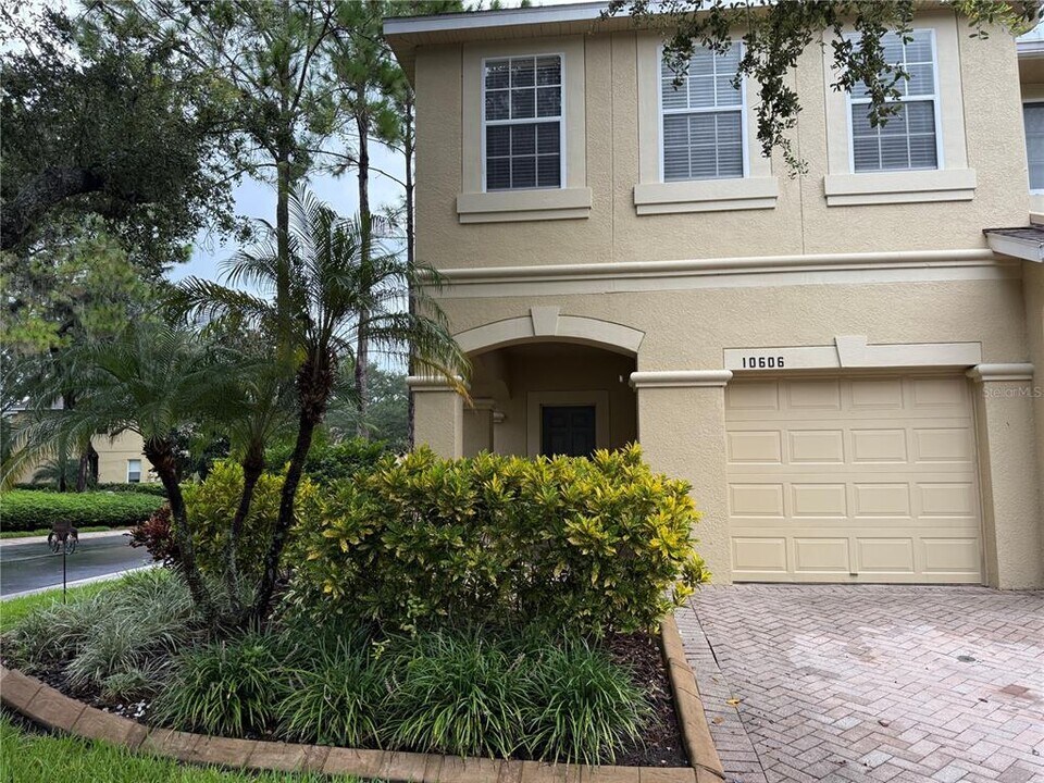10606 Shady Falls Ct in Riverview, FL - Building Photo
