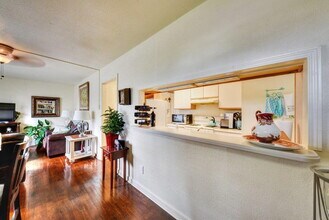 460 Comal Ave in New Braunfels, TX - Foto de edificio - Building Photo
