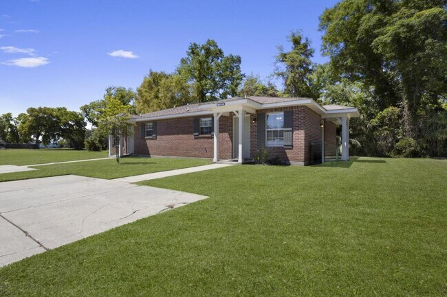 property at 233 Palmetto Ln