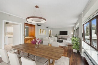 161 E Chicago Ave in Chicago, IL - Building Photo - Building Photo