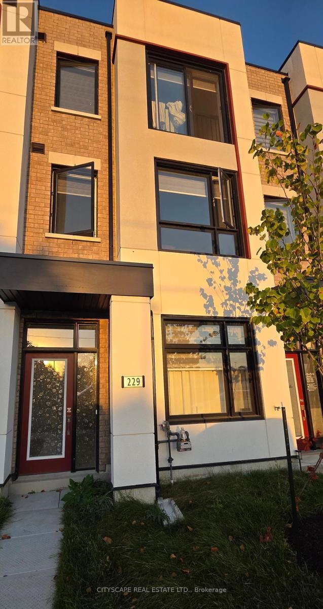 property at 229 Monarch Ave