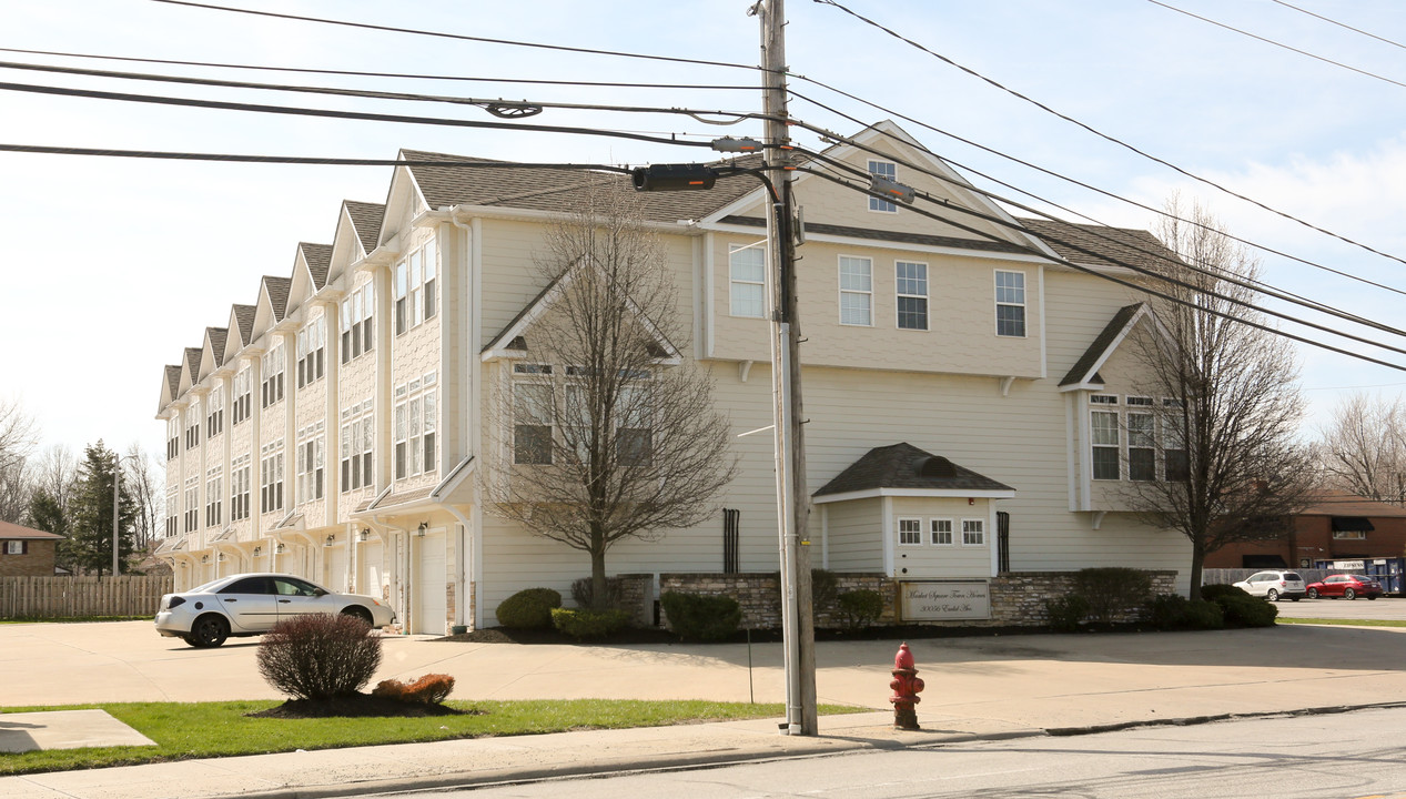 30056 Euclid Ave in Wickliffe, OH - Building Photo