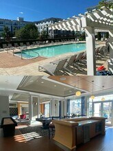 4 Repton Pl, Unit 4309 in Watertown, MA - Foto de edificio - Building Photo