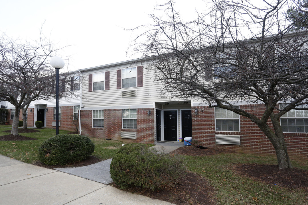 Orchard Court Apartments in Berryville, VA - Building Photo