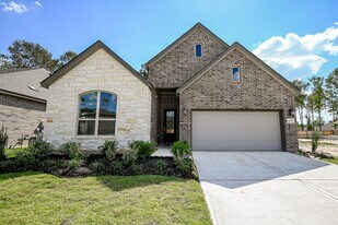 8278 Boundary Waters Dr in Porter, TX - Building Photo