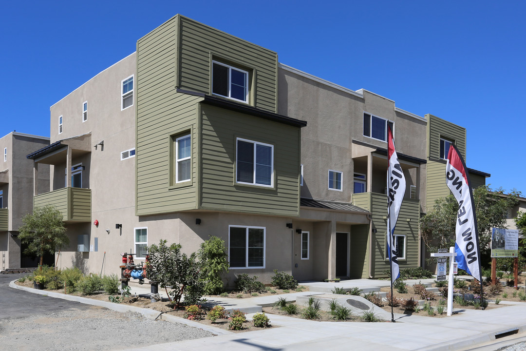 Raintree Terrace in San Ysidro, CA - Foto de edificio