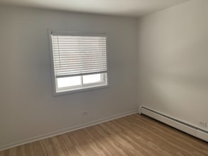 19719 Terrace Ave in Lynwood, IL - Foto de edificio - Building Photo