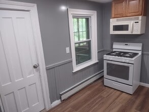 319 2nd St in Albany, NY - Building Photo - Building Photo