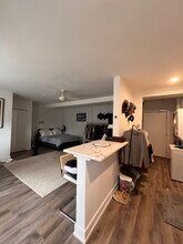 5920 N Ridge Ave in Chicago, IL - Building Photo - Building Photo