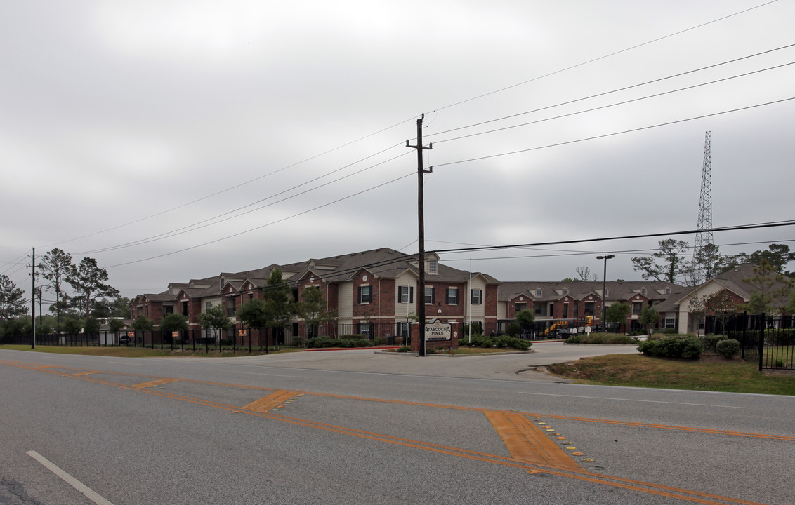 Atascocita Pines in Humble, TX - Building Photo