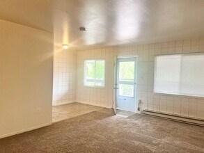 509 S Bryan Ave in Fort Collins, CO - Building Photo - Building Photo