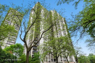 1360 N Sandburg Terrace in Chicago, IL - Building Photo