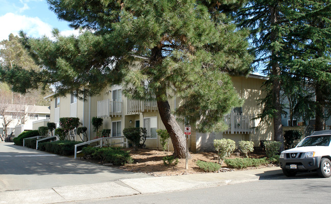 Jack London Townhomes in Santa Rosa, CA - Foto de edificio - Building Photo