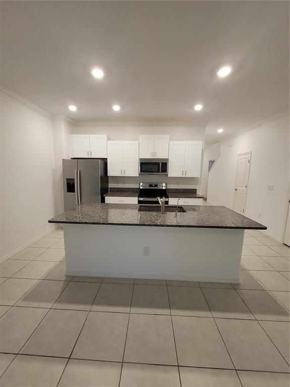 21842 Lyonia Ln in Land O Lakes, FL - Building Photo - Building Photo