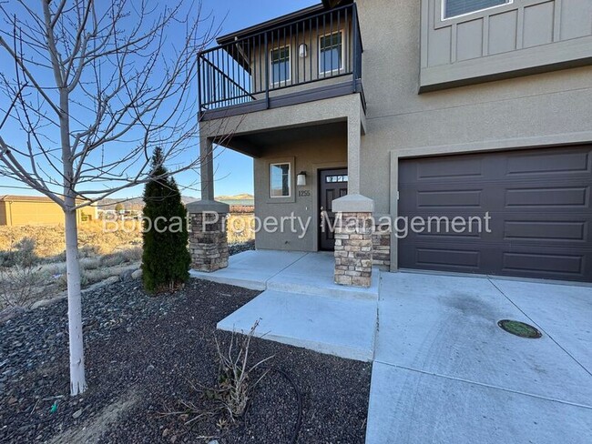 1255 Correlli Ct in Carson City, NV - Building Photo - Building Photo