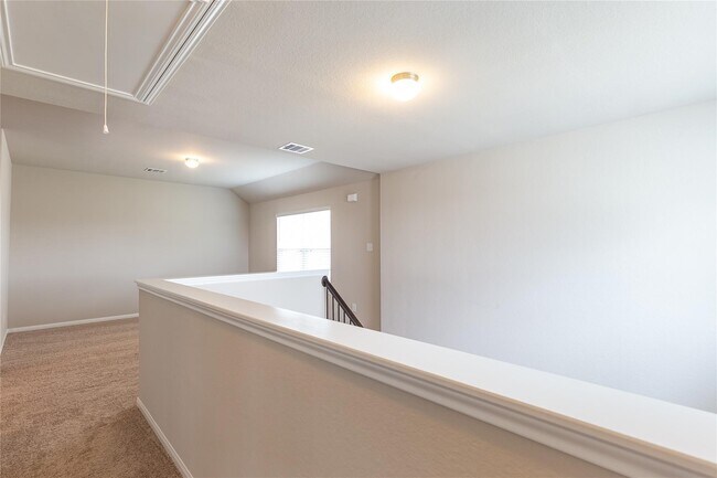 24630 Bastiani Canvas Ln