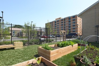 Oakley Square in Chicago, IL - Foto de edificio - Building Photo