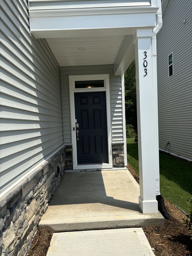 property at 303 Aster Bloom Ln