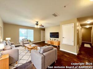 3141 Douglas Fir Dr in New Braunfels, TX - Foto de edificio - Building Photo