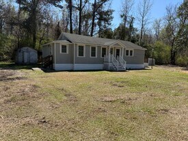 128 Peterson Hill Ave in Burgaw, NC - Building Photo