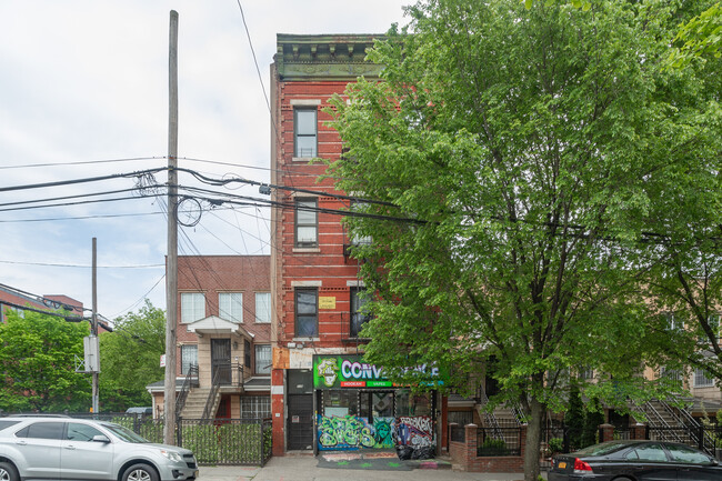 339 Saratoga Ave in Brooklyn, NY - Foto de edificio - Building Photo