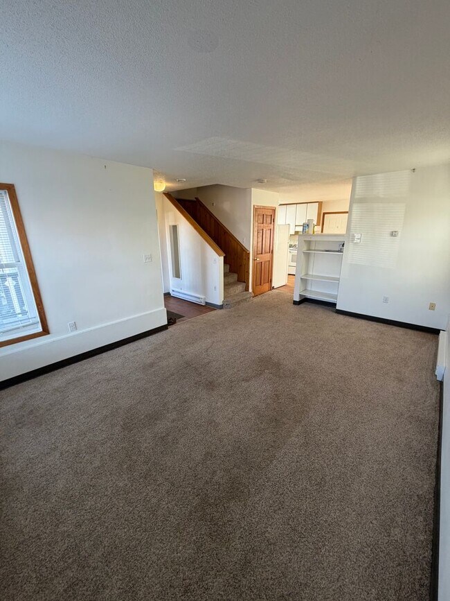 317-319 N 3rd Ave W in Duluth, MN - Building Photo - Building Photo