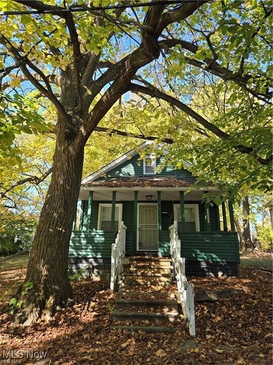 10011 Elizabeth Ave in Cleveland, OH - Foto de edificio