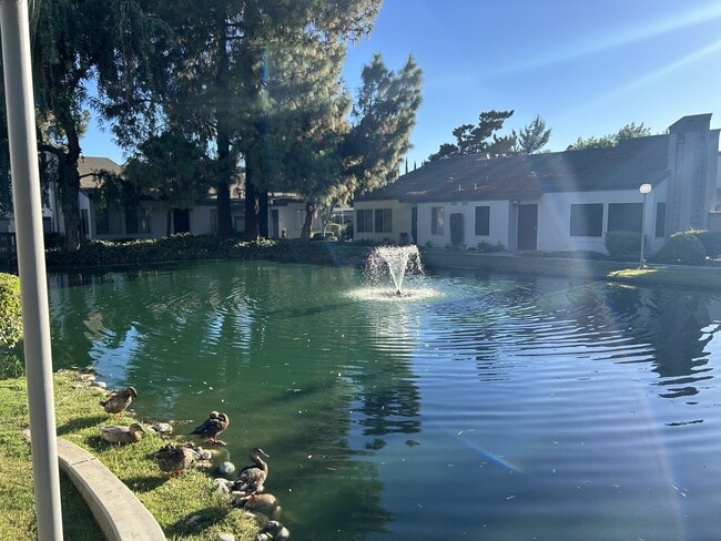 1313 Floyd Ave in Modesto, CA - Building Photo - Building Photo