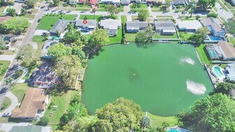 11645 Oxford St in Seminole, FL - Building Photo