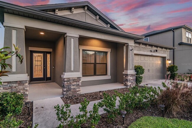 30950 Parrot Reef Ct in Wesley Chapel, FL - Building Photo - Building Photo