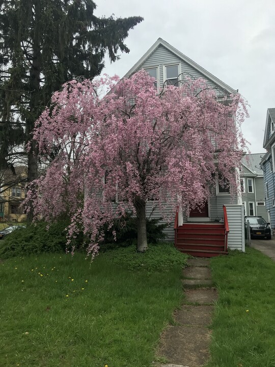 1546 Delaware Ave, Unit Lower in Buffalo, NY - Foto de edificio