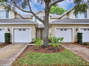 14916 Salamander Pl in Tampa, FL - Building Photo - Building Photo