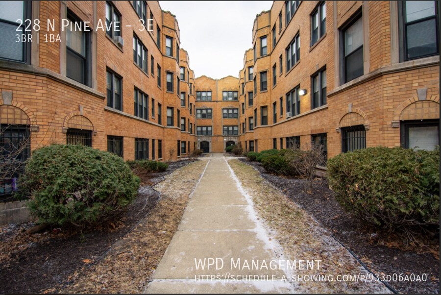 228 N Pine Ave in Chicago, IL - Foto de edificio