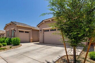 24393 N 169th Dr in Surprise, AZ - Building Photo - Building Photo