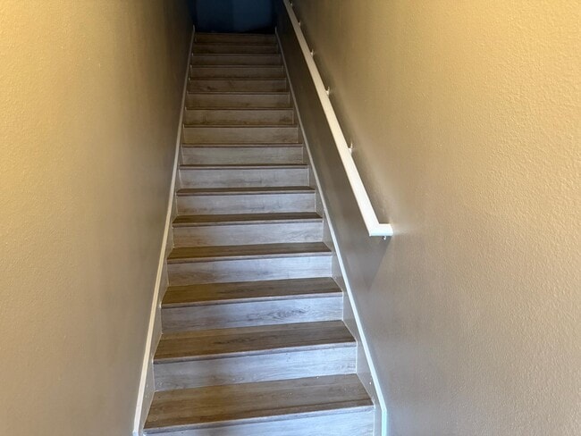 19914 Villa Creek Dr in Orlando, FL - Building Photo - Building Photo