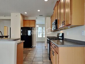 5344 Clover Mist Dr in Apollo Beach, FL - Building Photo - Building Photo
