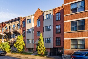 1205 Montcalm Rue in Montréal, QC - Building Photo