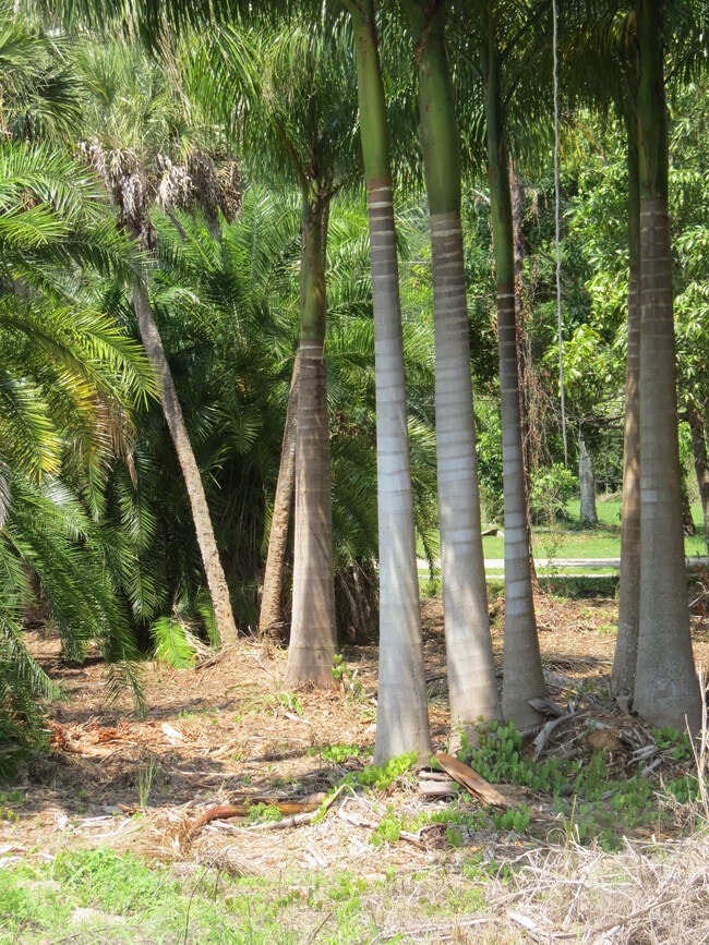 27520 Palmesta Circle, Unit #50, Unit 50 in Bonita Springs, FL - Building Photo - Building Photo