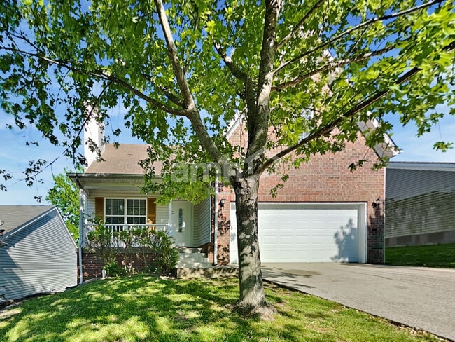 property at 913 Tom Hailey Blvd