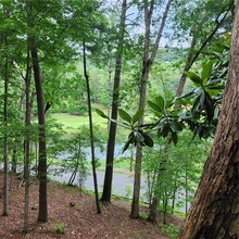 405 Sconti Ridge in Big Canoe, GA - Building Photo - Building Photo