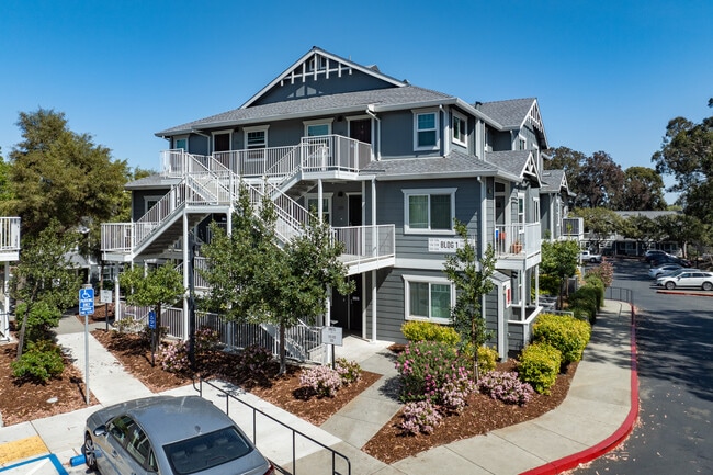Calms at Burgess in Benicia, CA - Building Photo - Building Photo