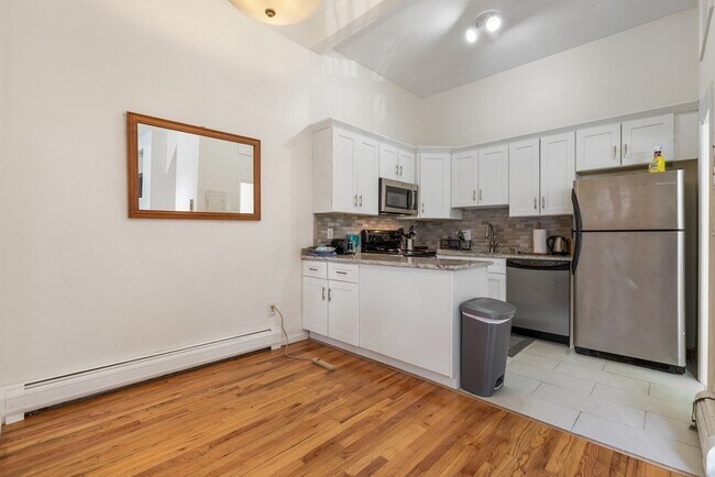 113 W Dedham St in Boston, MA - Building Photo - Building Photo